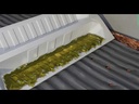 youtube - [Video]