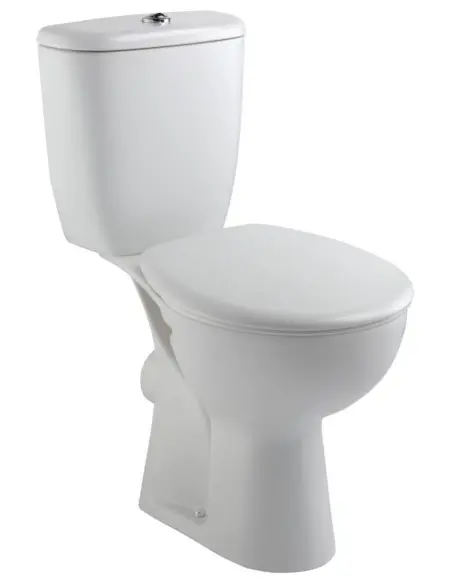 PACK WC BRIVE 3 SH 3/6L AL Blanc Jacob Delafon 