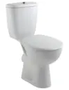 PACK WC BRIVE 3 SH 3/6L AL Blanc Jacob Delafon 